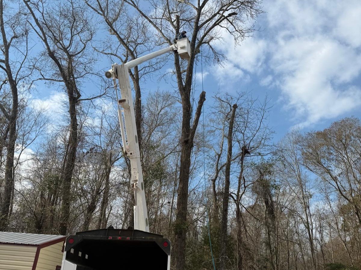 El Costeño Tree Service LLC